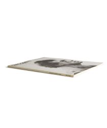 Catalogue : Giacometti. Colección de la Fundación Maeght 
