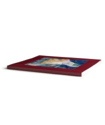 Catálogo : Toulouse-Lautrec. De Albi y de otras colecciones