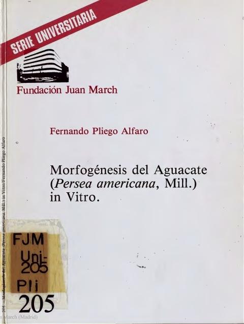 Portada de "Morfogénesis del aguacate (Persea americana, Mill) in Vitro"