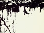 Tao te ching