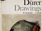 Dürer drawings in the Albertina