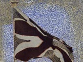 Tom Phillips