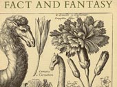 Fact and fantasy