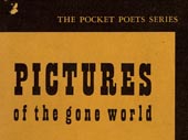 Pictures of the gone world