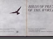 Birds of prey of the world