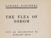 The Flea of Sodom