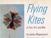 Flying kites