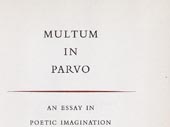 Multum in parvo